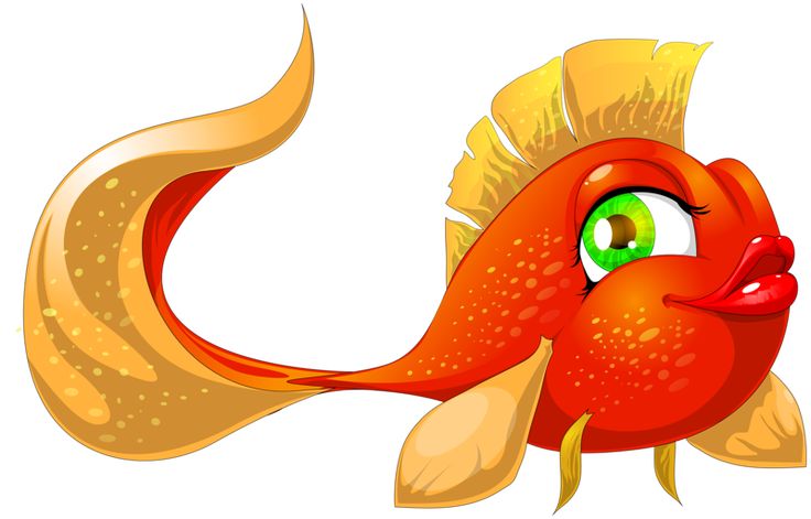736x471 61 Best Fishes In The Sea Images On Pisces, Clip Art