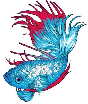 300x356 Adorable Unisex Names For Your Betta Fish Fish Care