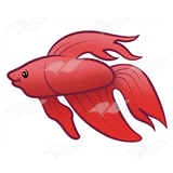 160x160 Abeka Clip Art Betta Fish