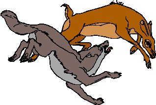 318x214 Best Wolves Clipart Wolves