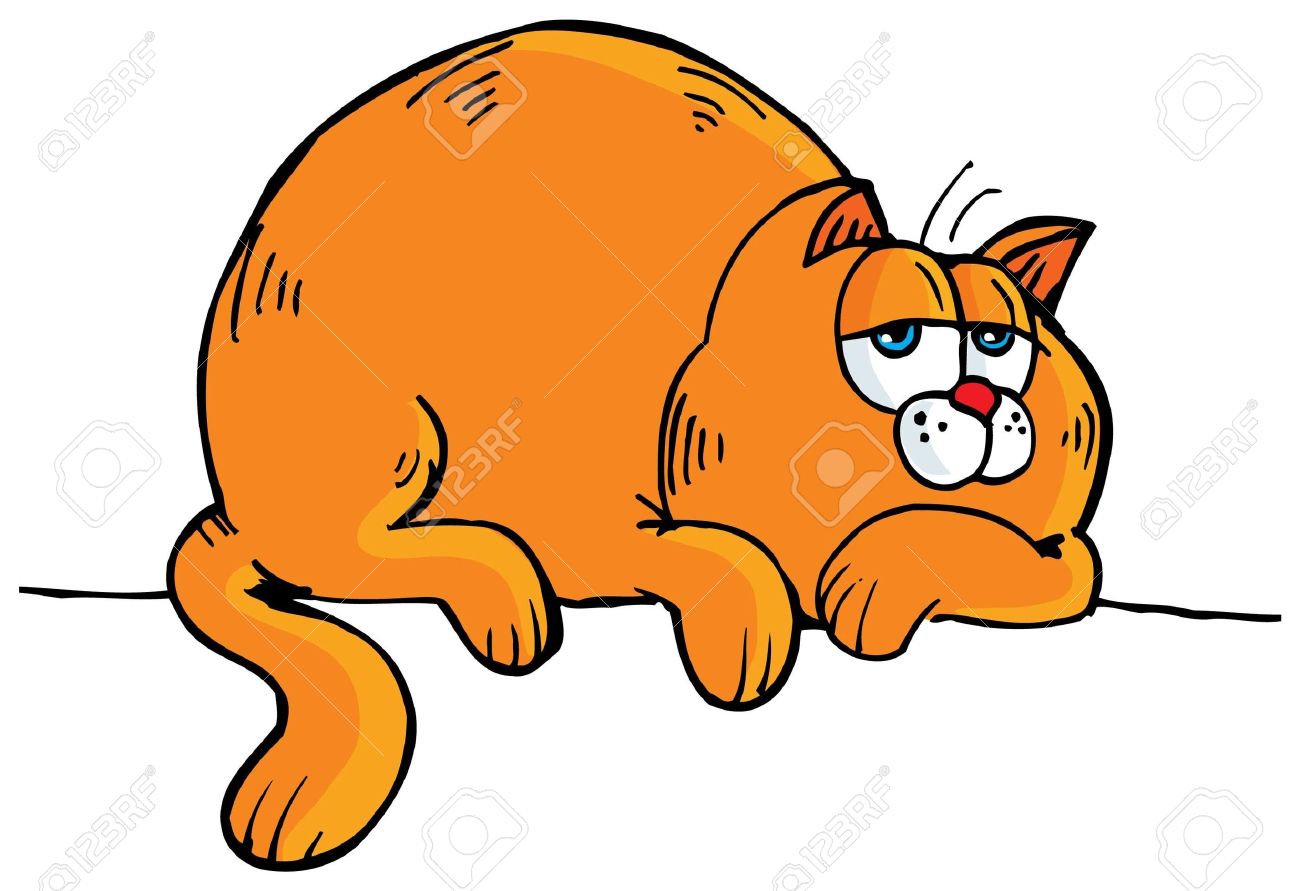 1300x891 Big Cat Clipart Skinny Cat