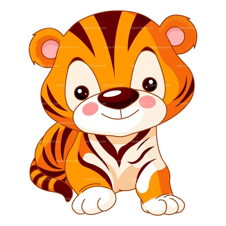 736x736 628 Best All Clip Art Zoo Images On Jungle Animals