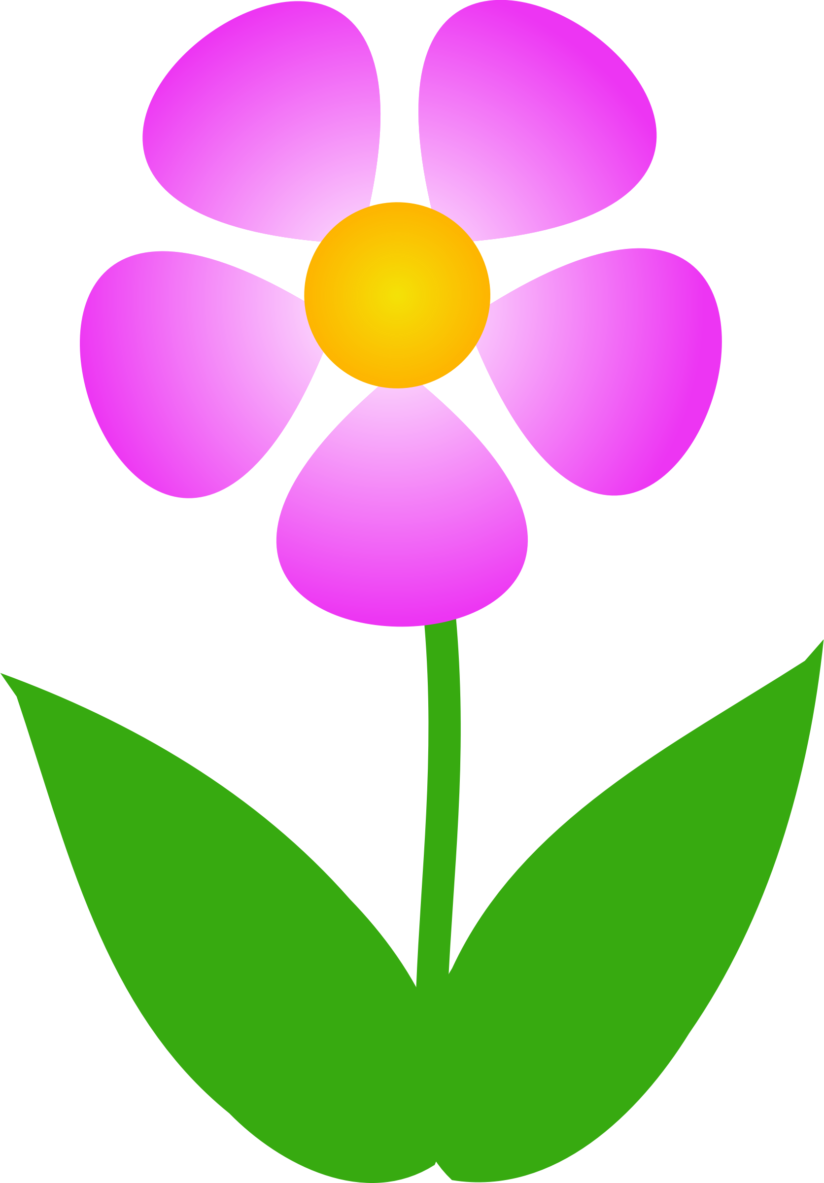 1672x2400 Pink Flower Clipart Images