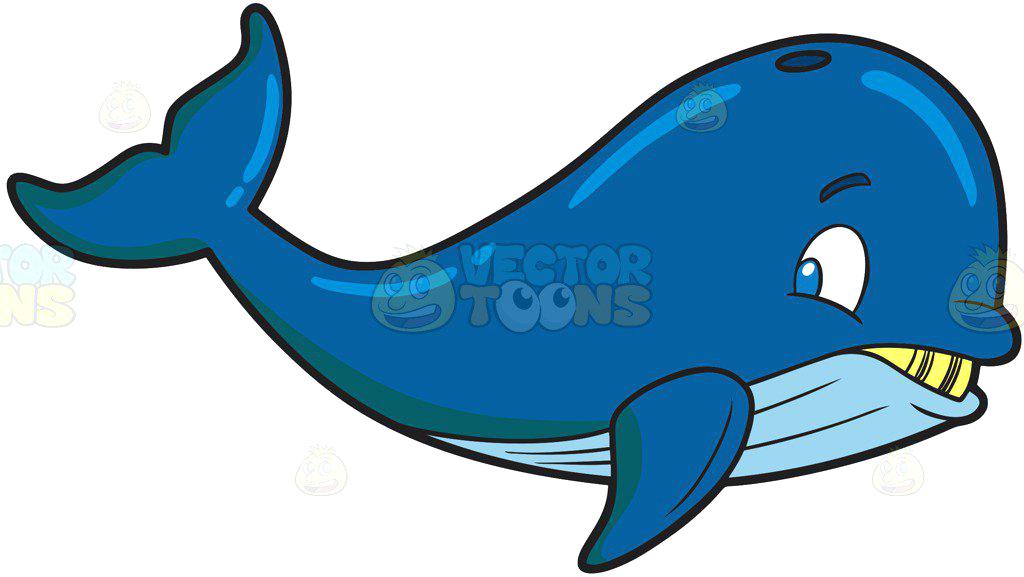 1024x577 Whale Pictures Clip Art Clip Art House Free Themusicfoundry Future