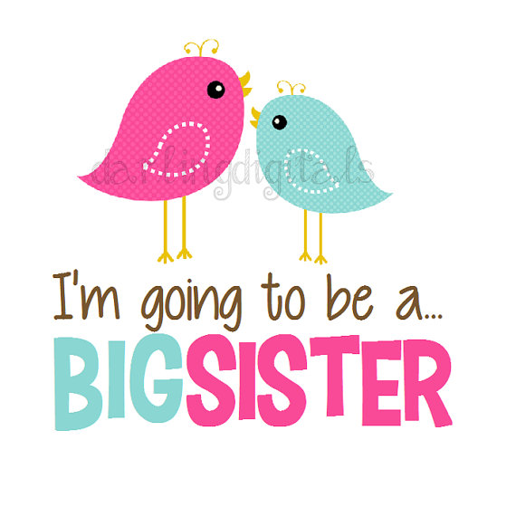 570x560 Instant Download Birdie Big Sister Pink Aqua Birds