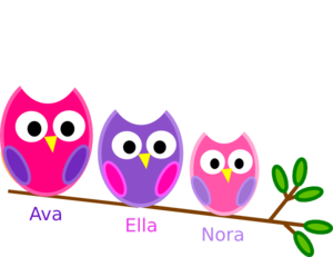 300x231 Sister Owls Clip Art