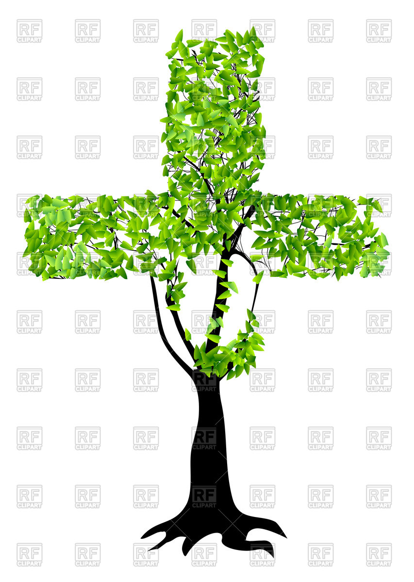 853x1200 Abstract Christian Cross As Tree Isolated On A White Background