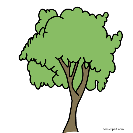 Big Tree Clipart at GetDrawings | Free download