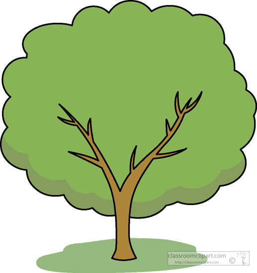 517x550 Free Trees Clipart