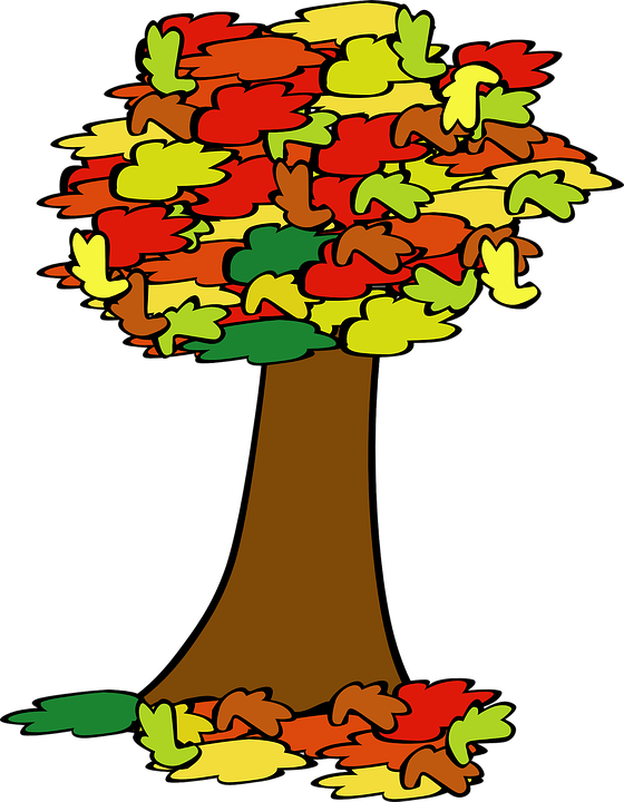 560x720 Free Tree Clipart Images And Pictures