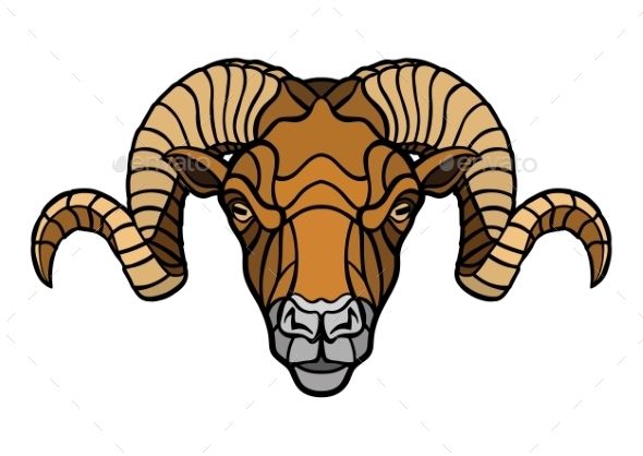 590x418 Ram Head Mascot Icon Illustrations, Graphics And Font Logo