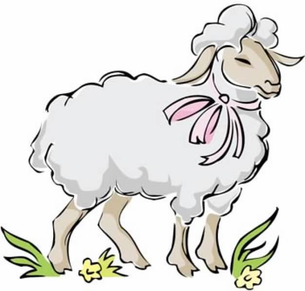626x597 Sheep Clipart Front View Free Collection Download And Share
