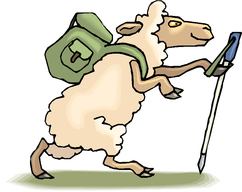 831x662 Sheep Clipart Walking