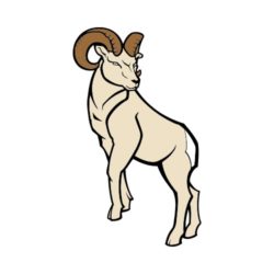 250x250 T Shirt Clip Art For Rams