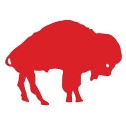 256x256 Buffalo Bill Clipart Mascot