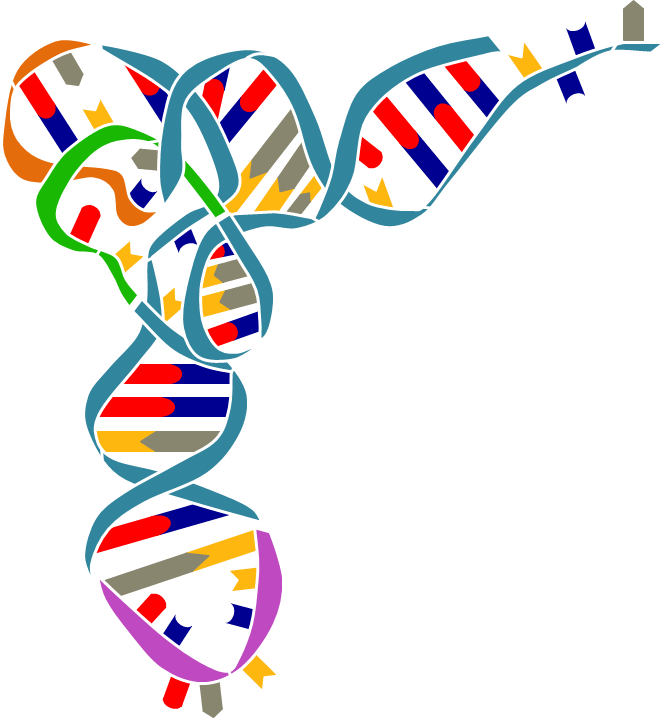 666x718 Synthetic Biology Klas