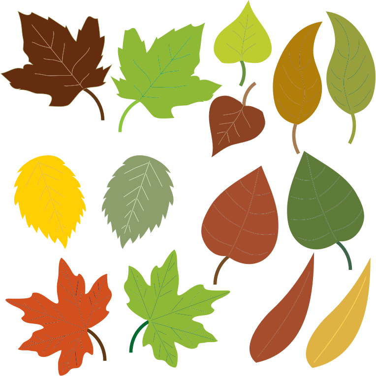 764x765 Leaves Clip Art Amp Look At Leaves Clip Art Clip Art Images