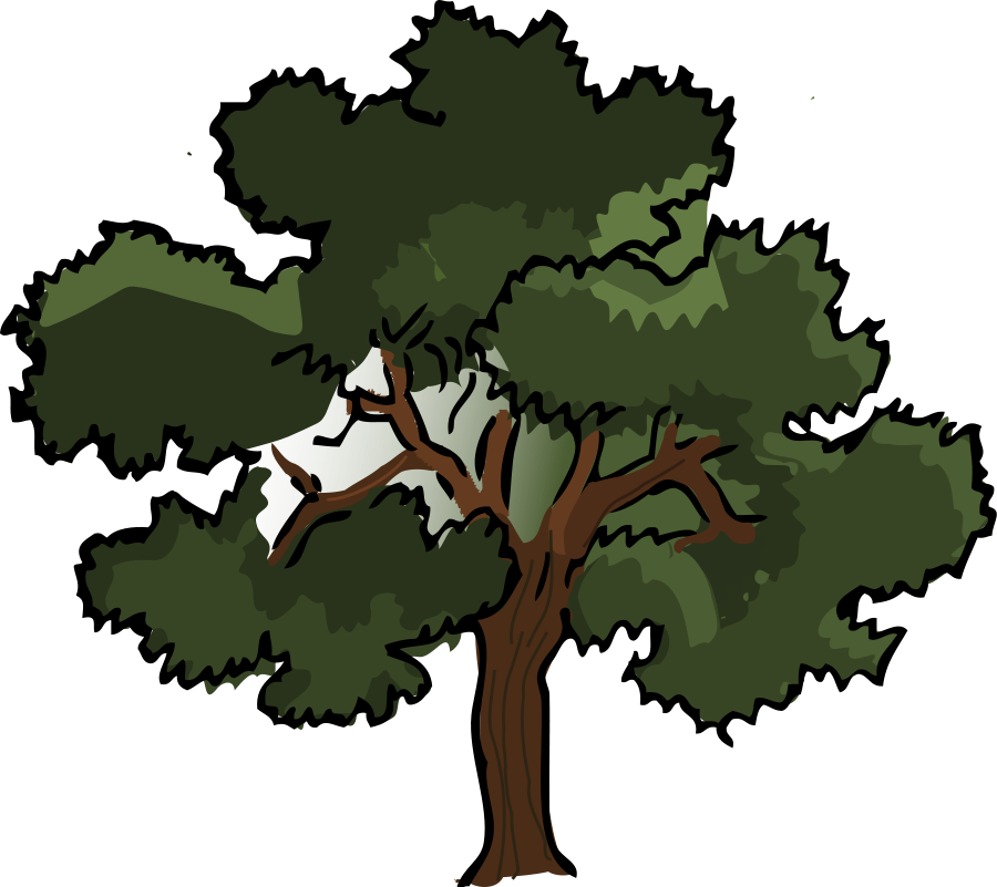 900x801 Top 83 Tree Clip Art