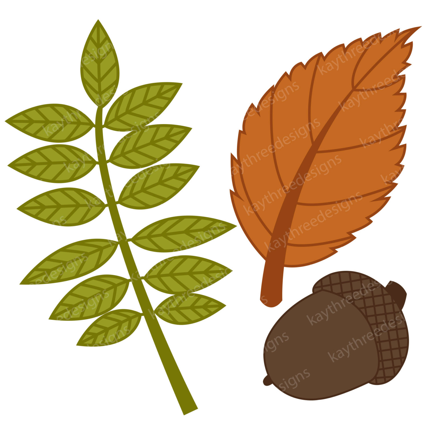 1500x1500 Autumn Leaves, Fall Leaves, Acorns, Willow, Birch, Maple, Oak