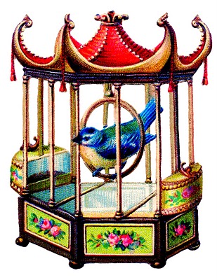 309x400 Birds And Eggs Archives