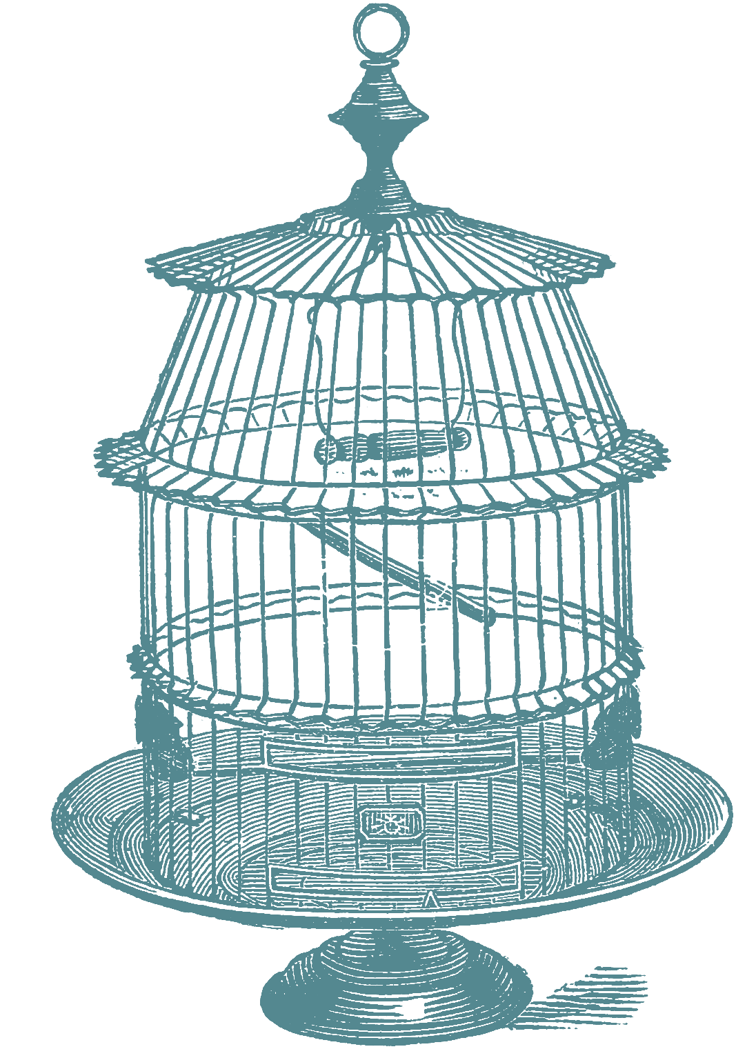 1067x1521 Another Set Of Bird Cage Stock Images Oh So Nifty Vintage Graphics