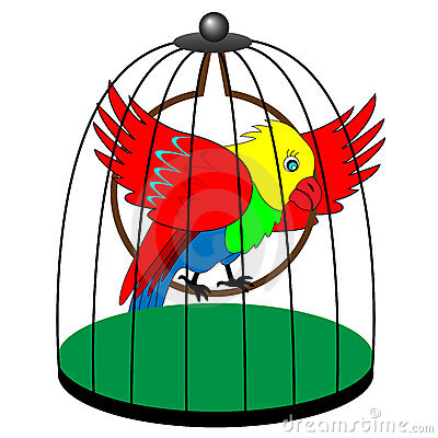 400x400 Talking Parrot 2 (Humor) Stories From All Around The World!