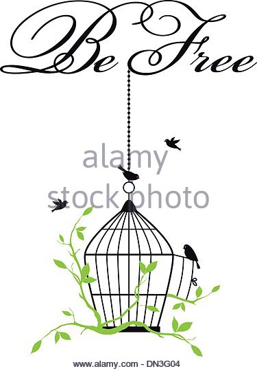 375x540 Bird Cage Flying Bird Stock Vector Images