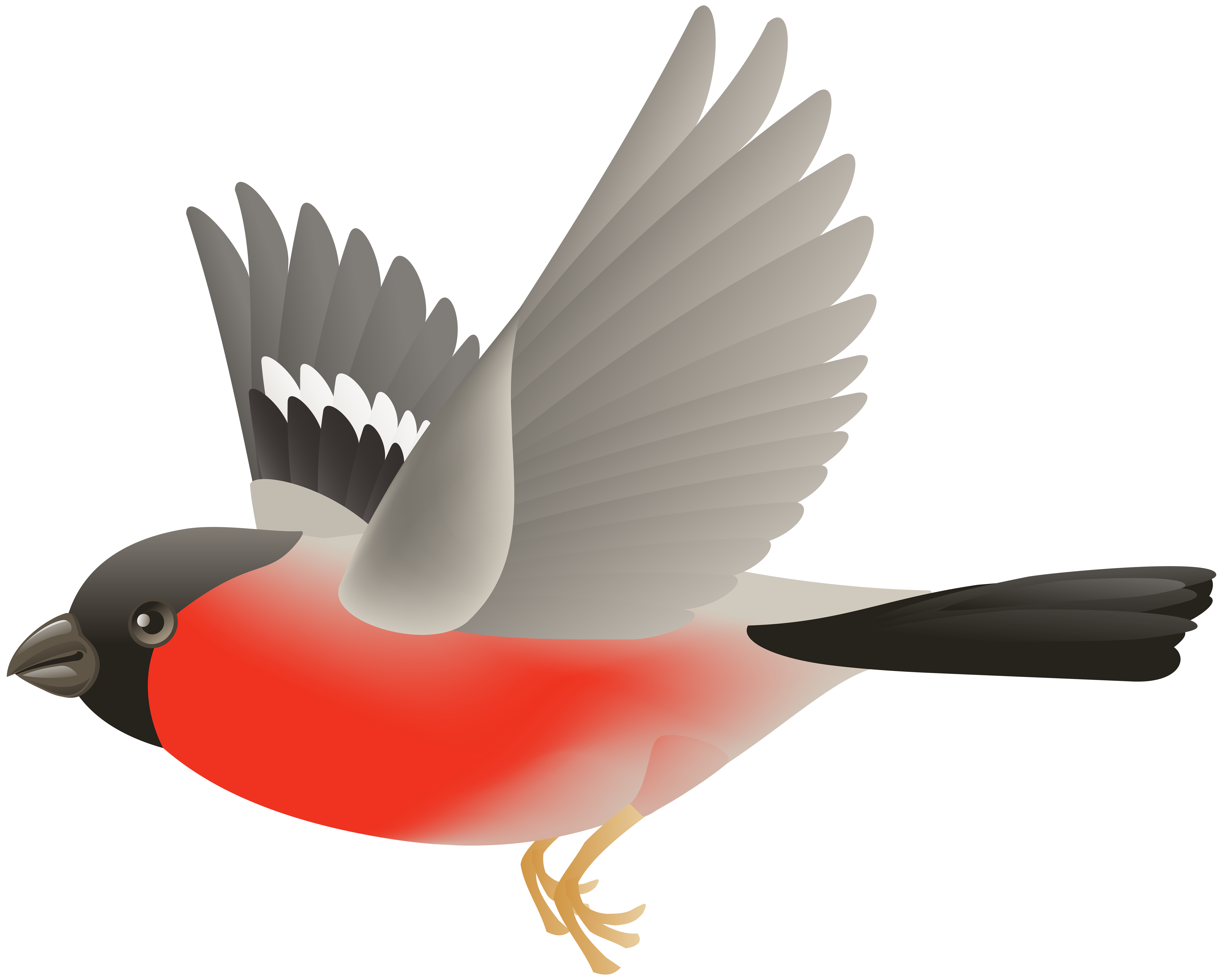 8000x6411 Red Flying Bird Transparent Clip Art Imageu200b Gallery Yopriceville