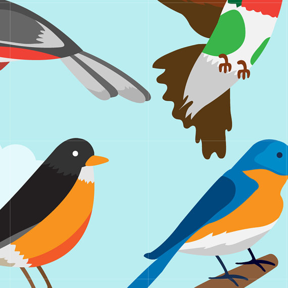 570x570 Bird Digital Vector Clip Art Cartoon Birds For Kids Learning