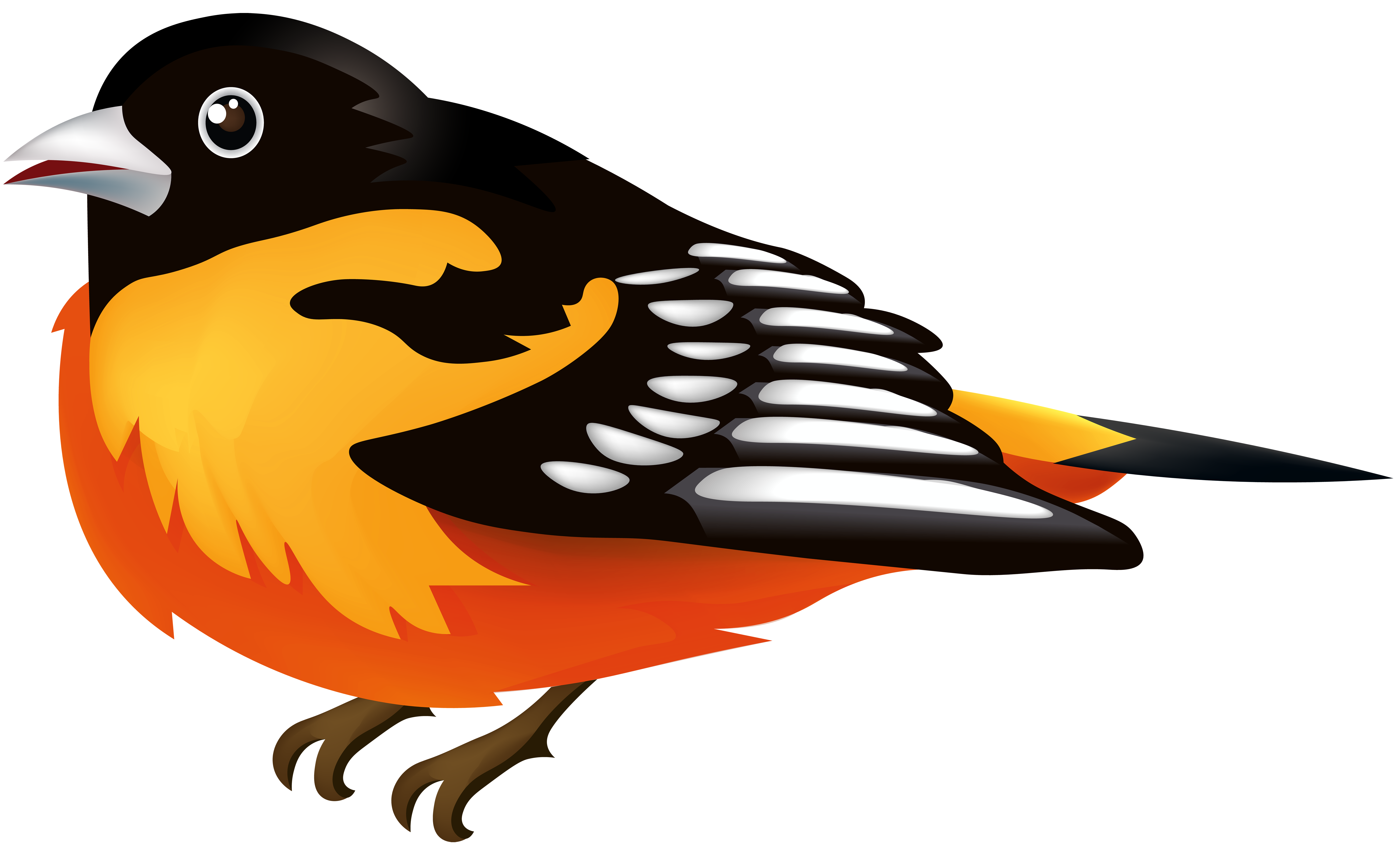 8000x4846 Bird Transparent Clip Artu200b Gallery Yopriceville