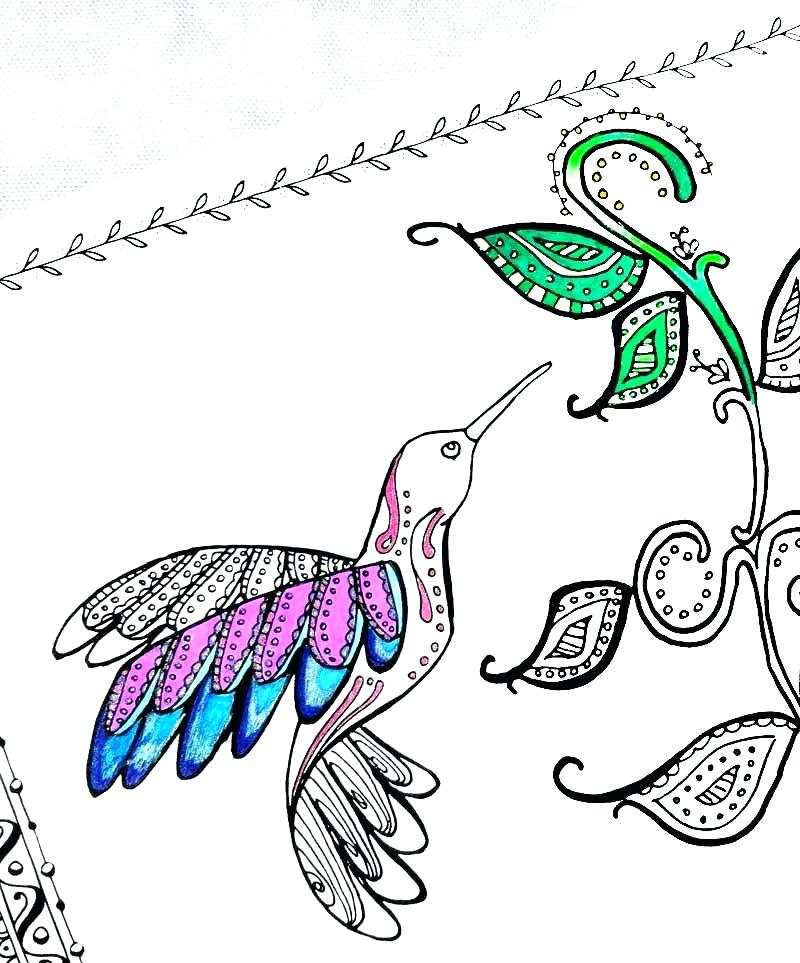 800x963 Hummingbird Coloring Pages Hummingbird Coloring Pictures