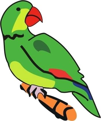 351x420 Parrot Pictures To Color Kcentar Coloring