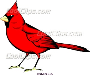 300x251 Angry Birds Games January 2013