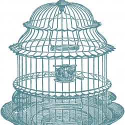 250x250 Salient Birdcage Vector Bird Cage Vintage Birdcage Stockvector