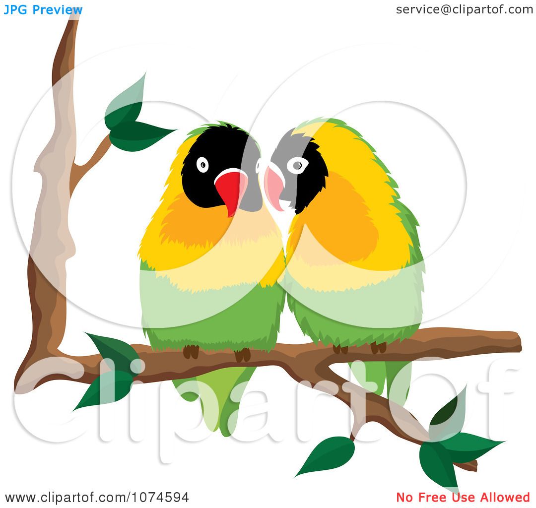 1080x1024 Love Bird Cage Clipart Images On Page 0 Yanhe Clip Art