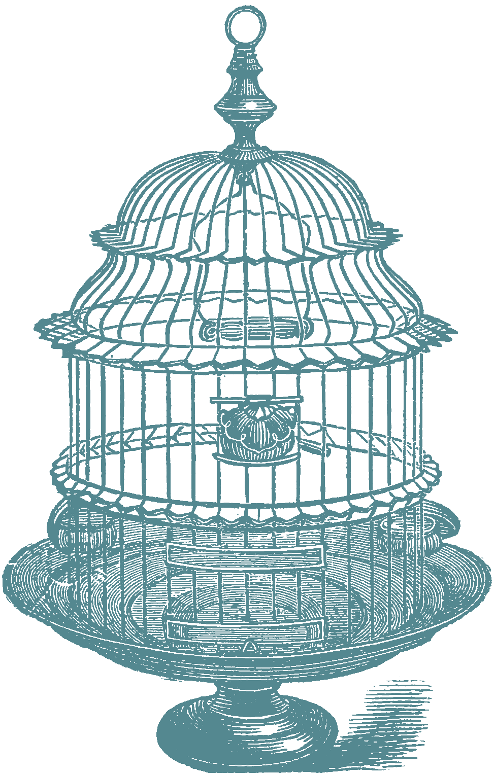 973x1528 Another Set Of Bird Cage Stock Images Oh So Nifty Vintage Graphics