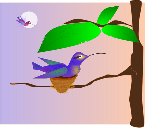 500x441 Clip Art Of Blue Bird In A Nest On A Tree Public Domain Vectors