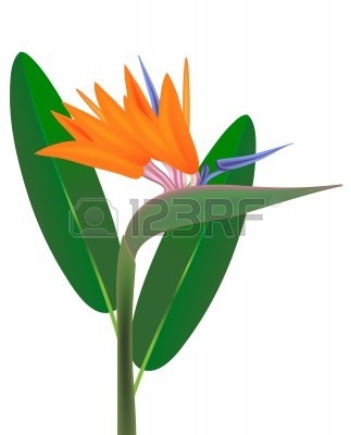 323x400 Dole Clipart Clipart Panda