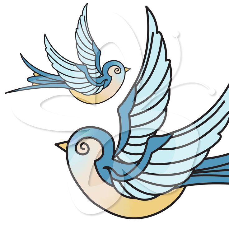 736x736 51 Best Bird Clip Art Images On Clip Art