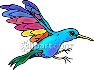 300x225 Hummingbird With Colorful Wings