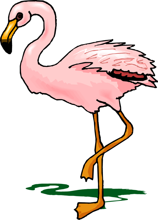 539x750 Top 84 Flamingo Clipart