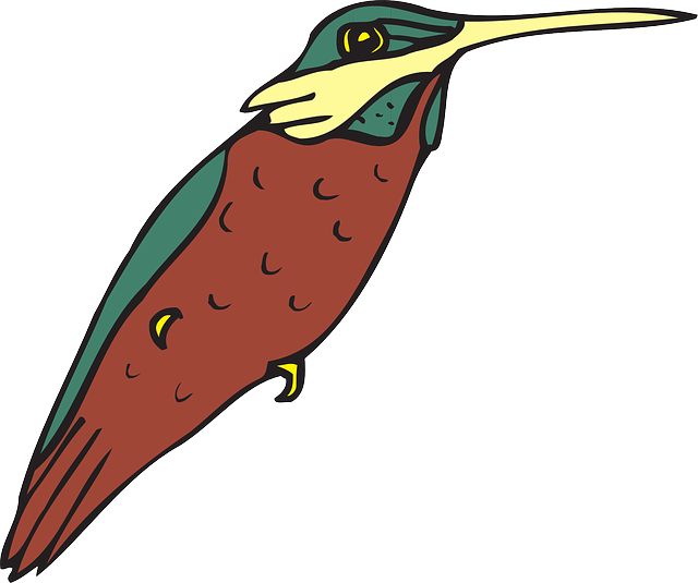 640x535 Bird, Wings, Art, Hummingbird, Beak, Feathers Clipart Idea