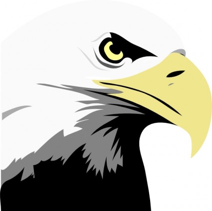 425x423 Bird Of Prey Clipart Soaring Eagle