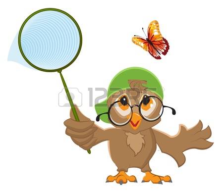 450x392 Catch Prey Clipart