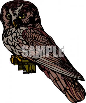 295x350 Picture Of An Owl Sitting On A Perch In A Vector Clip Art