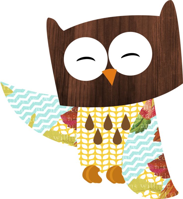 736x801 Barred Owl Clipart Glass Clip Art