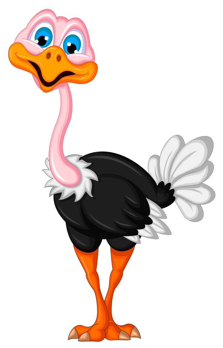 736x1147 Clip Art Of Ostrich Images On Page 0 Yanhe Clip Art
