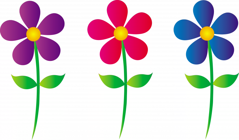 800x469 Spring Flower Border Clip Art Free 20291 Spring Flowers Clip Art