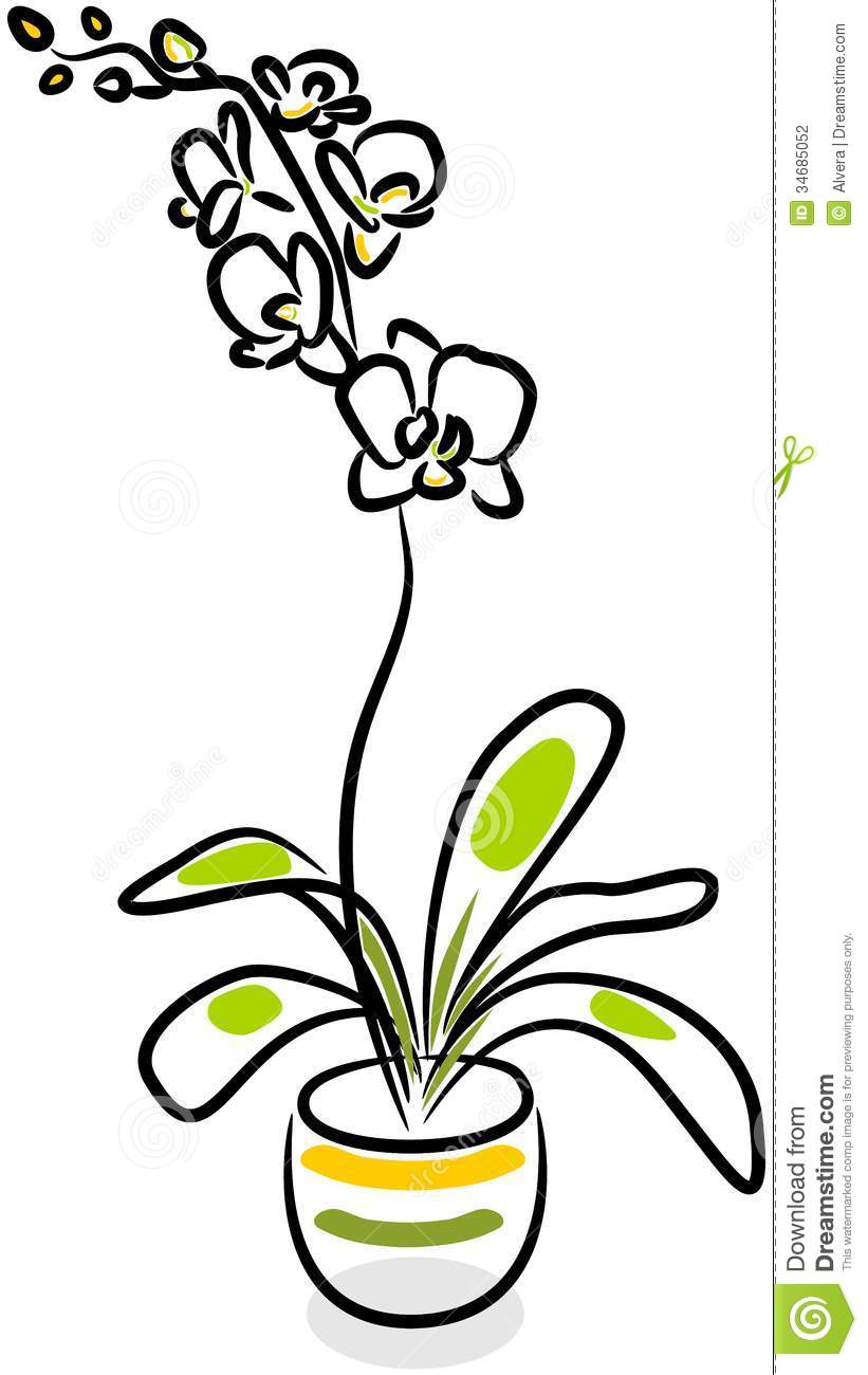 821x1300 Gousicteco Orchid Clipart Black And White Images