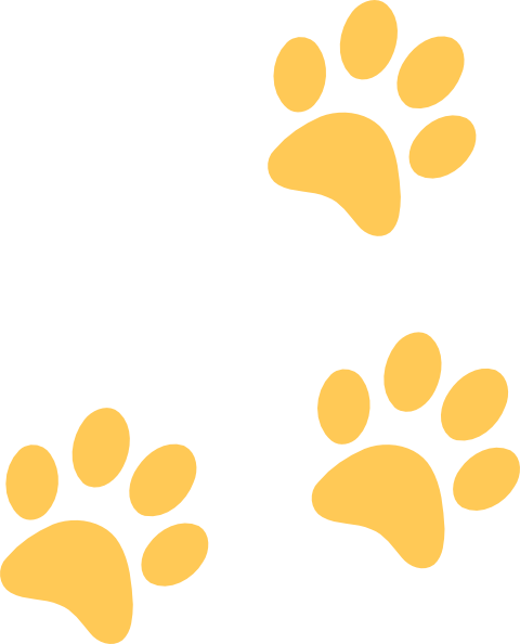 480x594 Gold Paw Clip Art